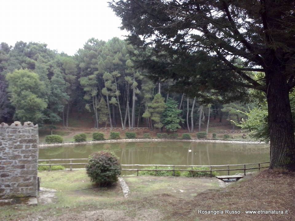 ano Collura-17-08-2015 08-49-37